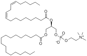 1-stearoyl-2-linoleoylphosphatidylcholine