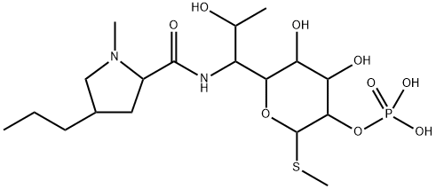 Lincomycin 2-Phosphate