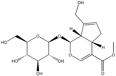 Cyclopenta[c]pyran-4-carboxylicacid, 1-(b-D-glucopyranosyloxy)-1,4a,5,7a-tetrahydro-7-(hydroxymethyl)-,methyl ester, (1S,4aS,7aS)-