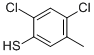 2,4-二氯-5-甲基-苯硫酚