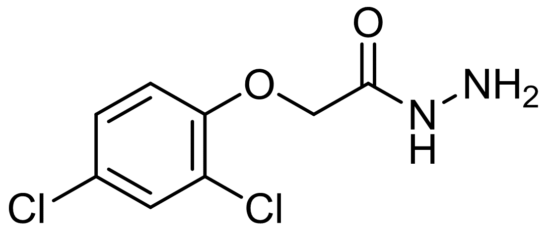 2,4-二氯苯氧基乙酸肼