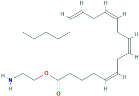 O-(2-AMINOETHYL)-5Z,8Z,11Z,14Z-EICOSATETRAENOATE