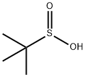 2-Propanesulfinic acid,2-methyl-