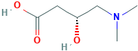 norcarnitine