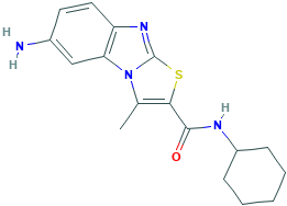 6-AMINO-N-CYCLOHEXYL-3-METHYLTHIAZOLO[3,2-A]BENZIMIDAZOLE-2-CARBOXAMIDE HYDROCHLORIDE