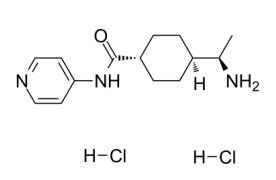 trans-4-[(R)-1-Aminoethyl]-N-(4-pyridyl)cyclohexanecarboxamide dihydrochloride                                        Y 27632 dihydrochloride