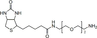 Biotin-PEG3-amine