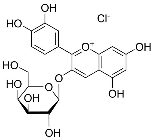 矢车菊素-3-O-半乳糖苷