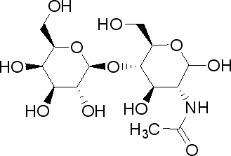 2-Acetylamino-4-O-β-D-galactopyranosyl-2-deoxy-D-glucopyranose