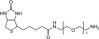 N-BIOTINYL-3,6,9-TRIOXAUNDECANE-1,11-DIAMINE