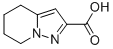 4,5,6,7-tetrahydropyrazolo[1,5-a]pyridine-2-carboxylic acid