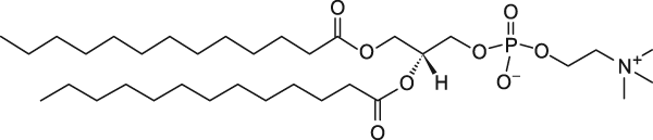 1,2-ditridecanoyl-sn-glycero-3-phosphocholine