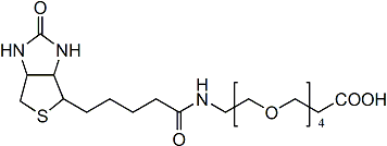 15-[D-(+)-生物素氨基]-4,7,10,13-四氧杂十五烷酸