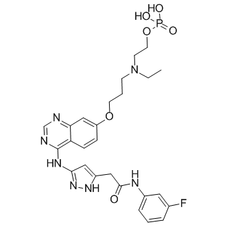 2-[[3-({4-[(5-{2-[(3-fluorophenyl)amino]-2-oxoethyl}-1H-pyrazol-3-yl)amino]quinazolin-7-yl}oxy)propyl](ethyl)amino]ethyl dihydrogen phosphate