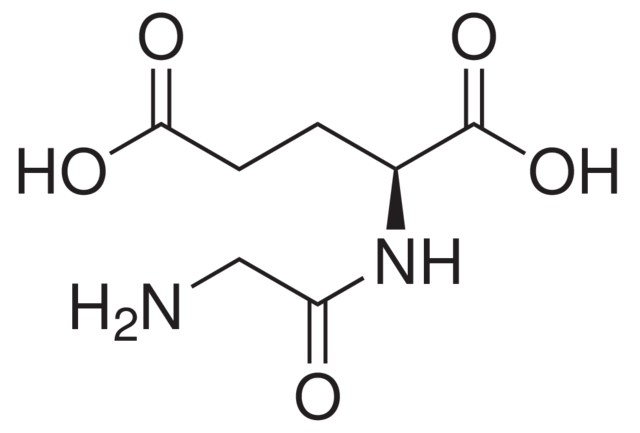 GLYCYL-L-GLUTAMIC ACID