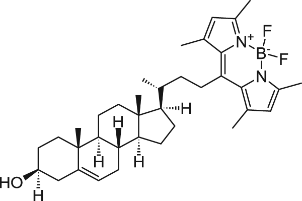 23-(dipyrrometheneboron difluoride)-24-norcholesterol