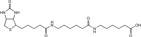 6-((6-((生物素基)氨基)己酰基)氨基)己酸
