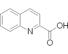 喹哪啶酸