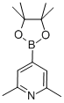 2,6-DiMethyl-4-(4,4,5,5-tetraMethyl-1,3,2-dioxaborolan-2-yl)pyridine