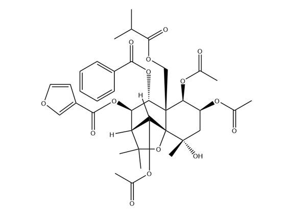 苦皮藤VII