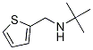 2-Methyl-N-(thiophen-2-ylMethyl)propan-2-aMine