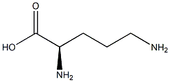 D-ornithine