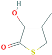 3-Hydroxy-4-methyl-2(5H)-thiophenone