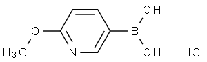 (6-甲氧基吡啶-3-基)硼酸盐盐酸盐