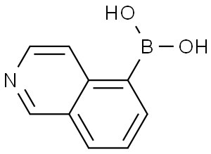 5-异喹啉硼酸