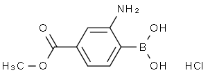 2-氨基-4-甲氧羰基苯基硼酸盐酸盐