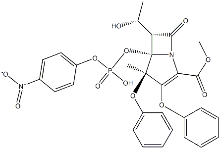 蛋白酶 K