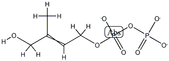 1-羟基-2-甲基-2-丁烯-4-基-4-二磷酸(HDMAPP)