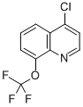 4-氯-8-(三氟甲氧基)喹啉