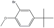 2-Bromo-4-t-butylanisole