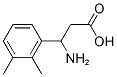 3-AMINO-3-(2,3-DIMETHYL-PHENYL)-PROPIONIC ACID