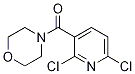 (2,6-dichloropyridin-3-yl)(Morpholino)Methanone