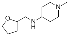 (1-METHYL-PIPERIDIN-4-YL)-(TETRAHYDRO-FURAN-2-YL-METHYL)-AMINE