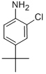 4-tert-butyl-2-chloroaniline