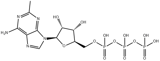 2-Methyladenosine-5'-triphosphate