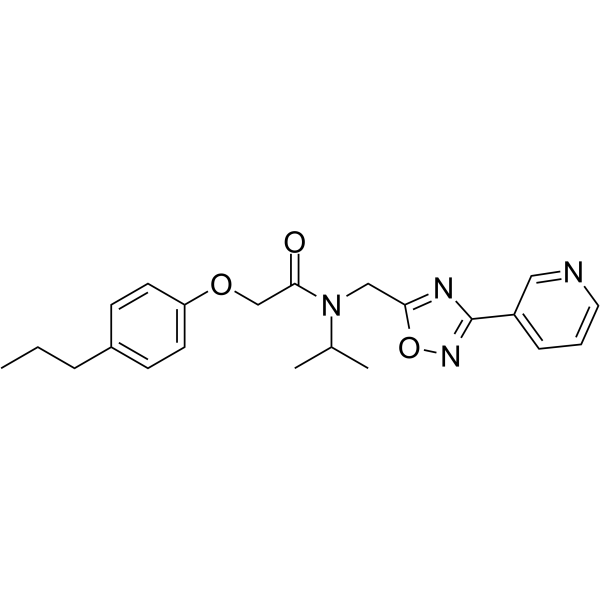 CT-L抑制剂(PI-1840)