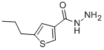 3-Thiophenecarboxylicacid,5-propyl-,hydrazide(9CI)