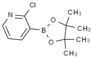 2-氯-吡啶-3-硼酸频那酯