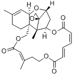 verrucarin J