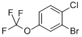 2-bromo-1-chloro-4-(trifluoromethoxy)benzene