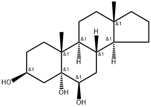 Annaosanchun(YC-6)