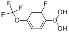 2-FLUORO-4-TRIFLUOROMETHOXYBENZENEBORONIC ACID