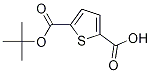 Thiophene-2,5-dicarboxylic acidmono tert-butylester