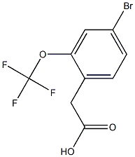 2-(4-溴-2-(三氟甲氧基)苯基)乙酸