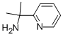 2-(Pyridin-2-yl)propan-2-amine