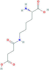 LYSINE(SUCCINYL)-OH, >97%